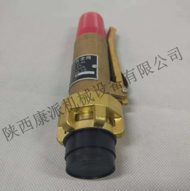 甘肃寿力安全阀88290005-467